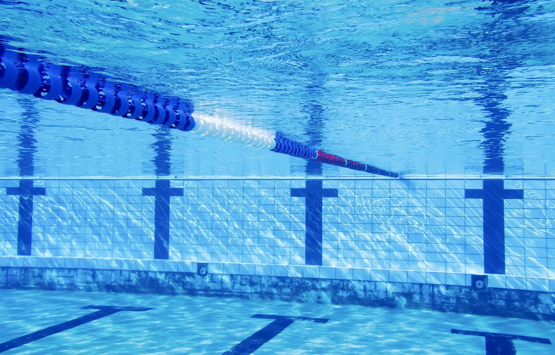 Pool Trainers aquatic event