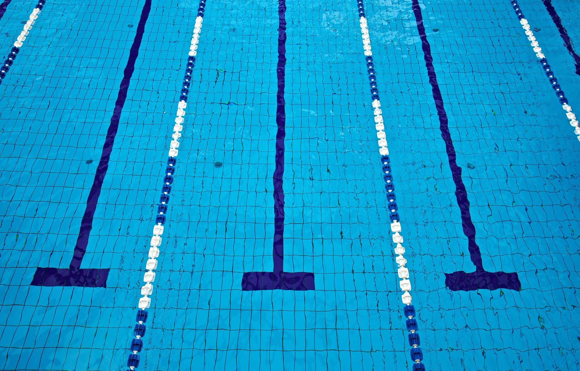 Professional aquatic training facility